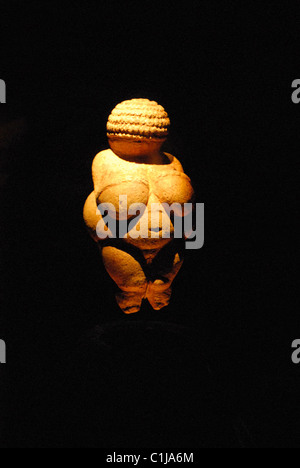 Venere di Willendorf, scolpito in pietra calcarea. Museo di Vienna, Vienna, Austria, Foto Stock