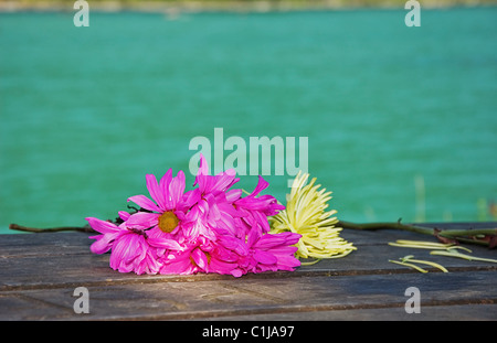 Il Magenta e il giallo dei fiori di avvizzimento sono come esse sono fissate su un telaio di legno Tavolo picnic in un resort con le meravigliose acque turchesi. Foto Stock