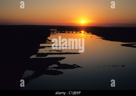 Francia, Maine et Loire, fiume Loira meandri vicino villaggio Montsoreau (vista aerea) Foto Stock