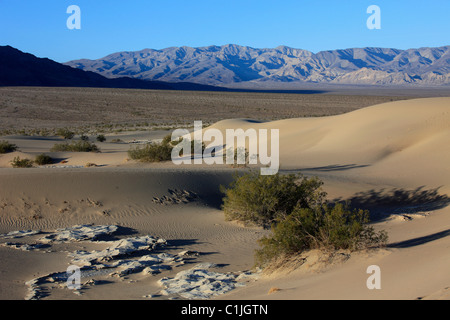 Stati Uniti, California, Valle della Morte, Parco Nazionale, Mesquite Flat, dune di sabbia, deposito di sale, Foto Stock