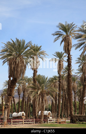 Stati Uniti, California, Valle della Morte, Parco Nazionale, Furnace Creek Ranch, Foto Stock