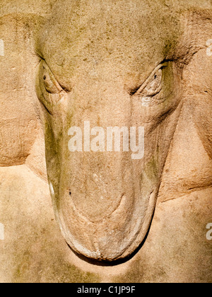 Dettaglio del Derby Ram scultura da Michael Pegler 1995 in Derby City Centre Derbyshire England Regno Unito Foto Stock