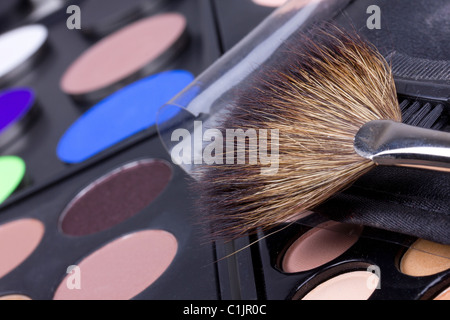 Professionale di make-up e spazzola eyeshadows palette, primo piano Foto Stock