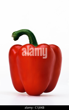 Red Bellpepper close up Foto Stock