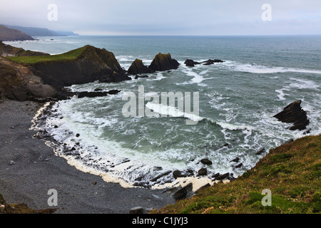Hartland Quay rocciose selvatiche Devon Coast rocce scogliere Foto Stock