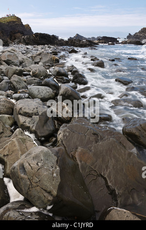 La selvaggia costa rocciosa a Hartland Quay, Devon, Inghilterra Foto Stock