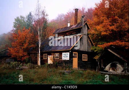 Canada, Provincia di Quebec, Laurentides distretto, mapple fabbrica di sciroppo al Brebeuf Foto Stock