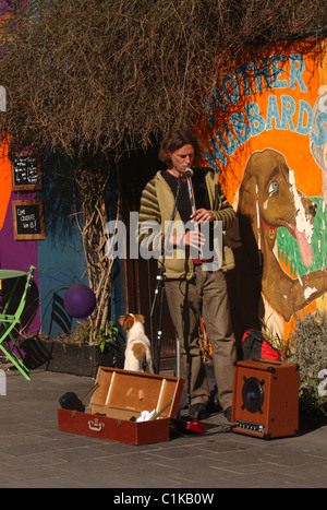 Busker riproduzione di un flauto, Kinsale, County Cork, Irlanda Foto Stock