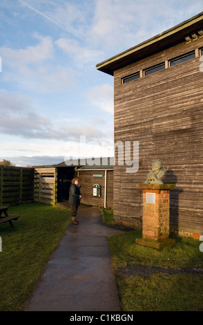 Visitatore di ammirare la statua di sir Peter Scott,l'osservazione principale nascondi,caerlaverock,wwt,Solway Firth,Scozia Scotland Foto Stock