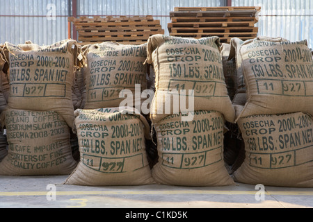 Il caffè confezionato in sacchi di tela, Cofeco S.A. Dry mill, dipartimento di Huehuetenango, Guatemala Foto Stock