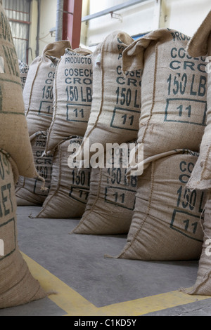 Il caffè confezionato in sacchi di tela, Cofeco S.A. Dry mill, dipartimento di Huehuetenango, Guatemala Foto Stock