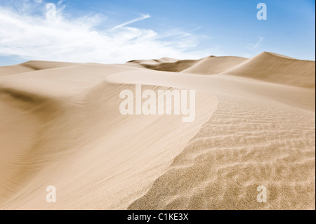 Imperial dune di sabbia Recreation Area, California, Stati Uniti d'America Foto Stock