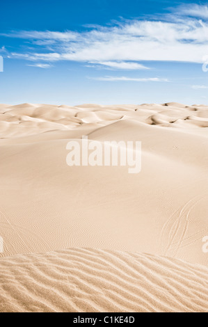 Imperial dune di sabbia Recreation Area, California, Stati Uniti d'America Foto Stock