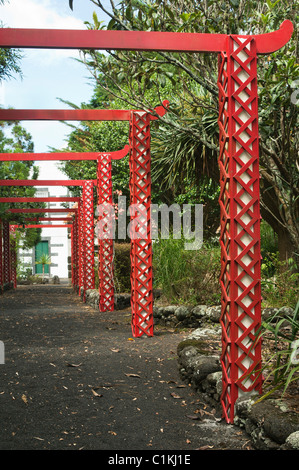 Rosso pergola in legno nel Parque Matos Souto, Pico Azzorre Foto Stock