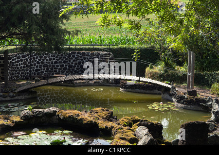 Passerella su un piccolo lago nei giardini del Parque Matos Souto a Pico, Azzorre Foto Stock