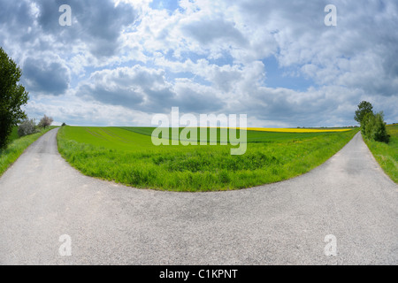 Strada a forcella in campo, Bischbrunn, Spessart, Main-Spessart, Baviera, Germania Foto Stock