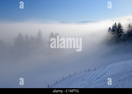 Nebbia di mattina nel paesaggio invernale, il Cantone di Berna, Svizzera Foto Stock