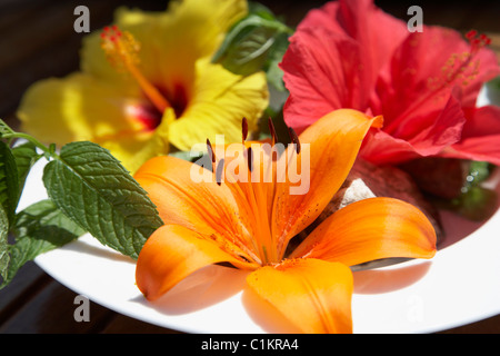 Disposizione del fiore sulla piastra Foto Stock