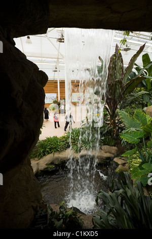 Cascata / acqua caduta e piscina / pond in The Glasshouse ad RHS Wisley. Surrey. Regno Unito. Foto Stock