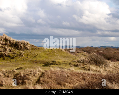 Braunton Burrows, dune di sabbia, North Devon, Riserva della Biosfera dall'UNESCO, REGNO UNITO Foto Stock