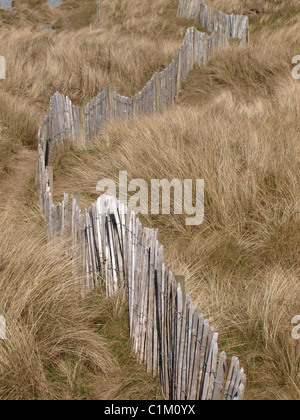 Recinzione attraverso le dune di sabbia, Northam Burrows, Condino, Devon, Regno Unito Foto Stock