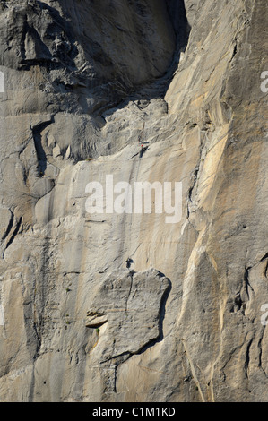 Vista di scalatori alaggio fino la scalata marcia su El Capitan da Northside Drive, Yosemite National Park, California, Stati Uniti d'America Foto Stock