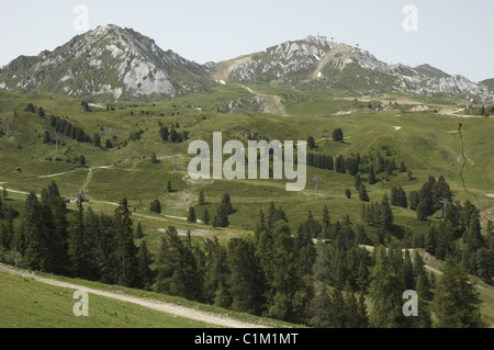 La Plagne, Belle-Plagne, sulle Alpi francesi, Mountain View, erba Foto Stock