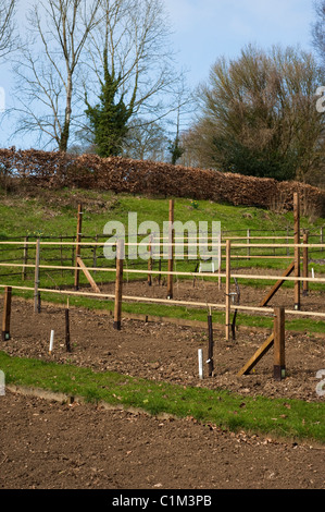 Appena piantato la formazione di frutta le frontiere a Painswick Giardino rococò in Cotswolds Foto Stock