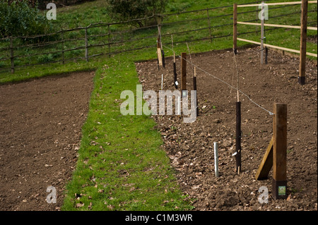 Piantate Step-Over nella formazione di frutta le frontiere a Painswick Giardino rococò in Cotswolds Foto Stock