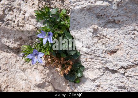 Villa a Ravello dove Wagner ha scritto alcune dell'anello ciclo. I suoi splendidi giardini e terrazze sono impostati in alta montagna Foto Stock