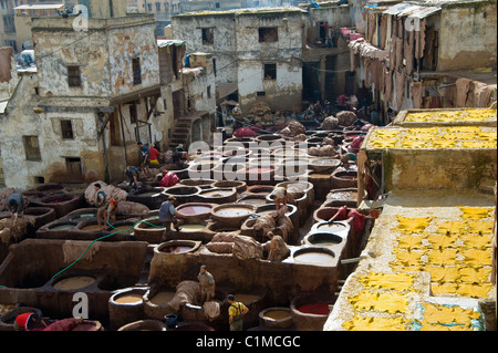 Uomini al lavoro in corrispondenza di una delle concerie di Fez, Marocco Foto Stock