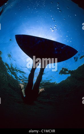 Francia, Corse du Sud, monopinna apnea Foto Stock