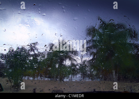 Uragano tempesta tropicale palme da auto all'interno del vetro del finestrino di gocce di acqua Foto Stock