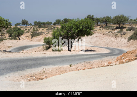 Strada tortuosa in Cipro Foto Stock