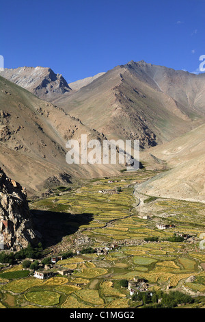 India, Ladakh, Valle di Sakti sulla strada da Leh a Pangong Tso lago Foto Stock