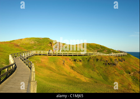 I Nobbies , Philip Island, in Australia Foto Stock