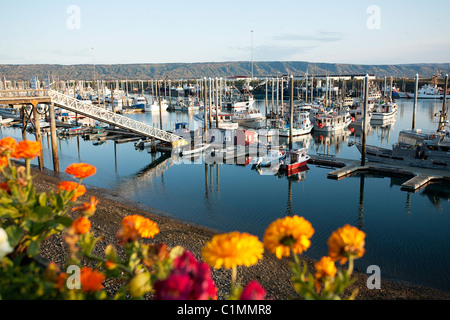 Porto di Homer Alaska Foto Stock