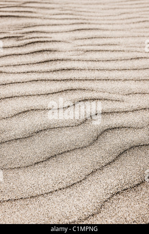 Sfondo naturale di sabbia in onda ripple pattern Foto Stock