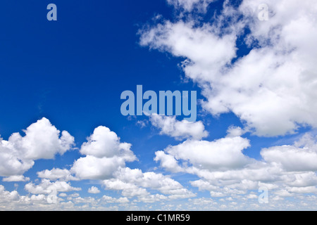 Sullo sfondo di un cielo blu con il bianco cumulus nubi Foto Stock
