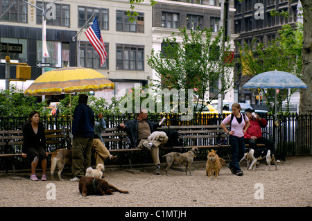 Stati Uniti, New York City, Manhattan, quadrato per cani a Union Square Foto Stock