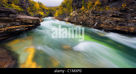 Abisko Canyon, la Lapponia - Svezia. Foto Stock