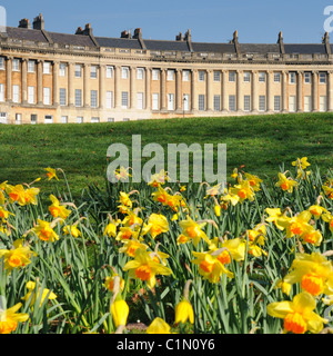 Vasca da bagno Royal Crescent su una soleggiata mattina di primavera con narcisi in primo piano. Foto Stock