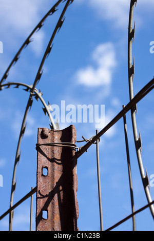 Avvolto il filo di rasoio montato su una recinzione di confine per la sicurezza Foto Stock