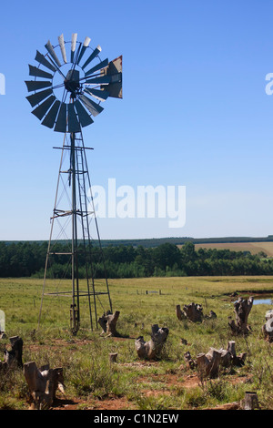 Un mulino a vento in una fattoria nel Kwazulu Natal, Sud Africa utilizzate per il pompaggio di acqua fresca dal sottosuolo. KwaZulu Natal, Sud Africa. Foto Stock