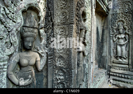 Cambogia Siem Reap zona buddista, templi di Angkor, Ta Prohm temple (metà 12 th - inizi del XIII secolo D.C.) Foto Stock