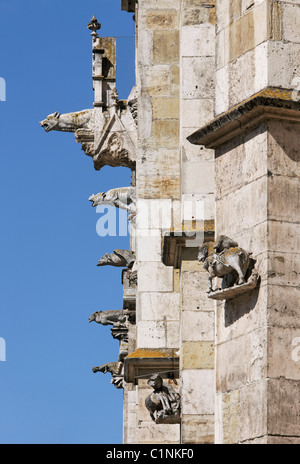 Ratisbona, Duomo di San Pietro Foto Stock