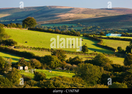 Paesaggio di rotolamento nel Parco Nazionale di Dartmoor, Foto Stock