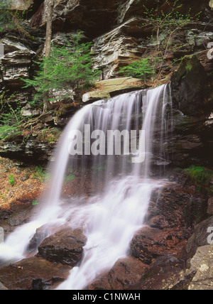 Wyandot cade è uno dei due dozzine di cascate che gli escursionisti si incontrano in Ricketts Glen State Park vicino documento Wilkes Barre, Pennsylvania. Foto Stock