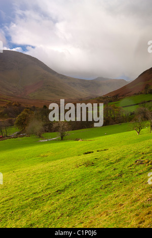 Vista da Derwent Fells verso Robinson e Ard dirupi, Parco Nazionale del Distretto dei Laghi, cittadina, Cumbria, Inghilterra, Europa Foto Stock