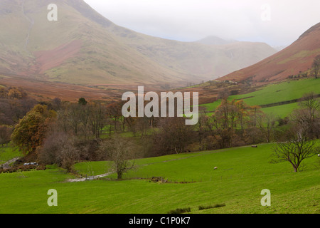 Vista da Derwent Fells verso Robinson e Ard dirupi, Parco Nazionale del Distretto dei Laghi, cittadina, Cumbria, Inghilterra, Europa Foto Stock